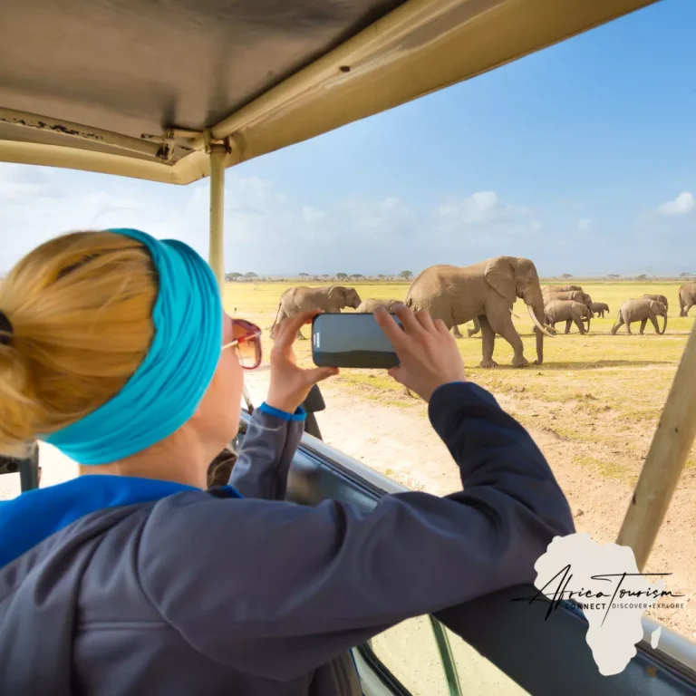 African Tourism SEO: Tips for Better Online Visibility