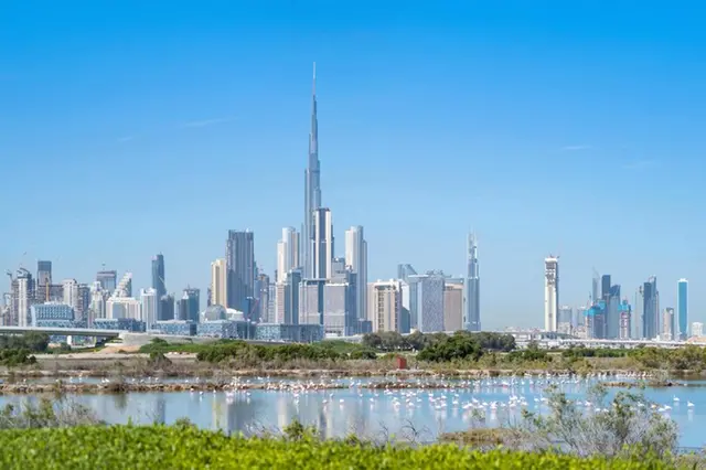 Ras Al Khor, Dubai, UAE. Image Courtesy: Amaal